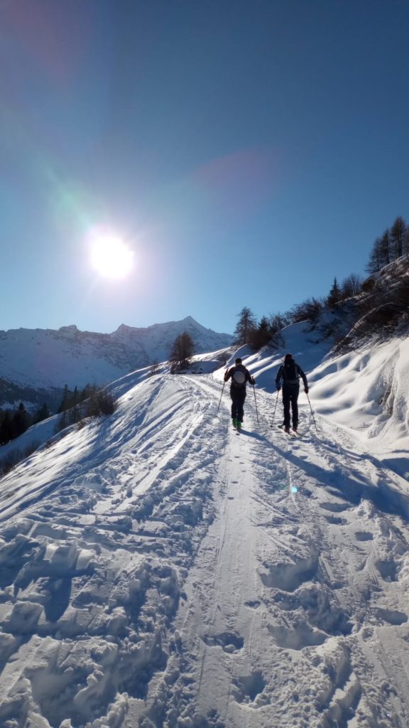 Ski de randonnée