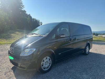 Mercedes Viano