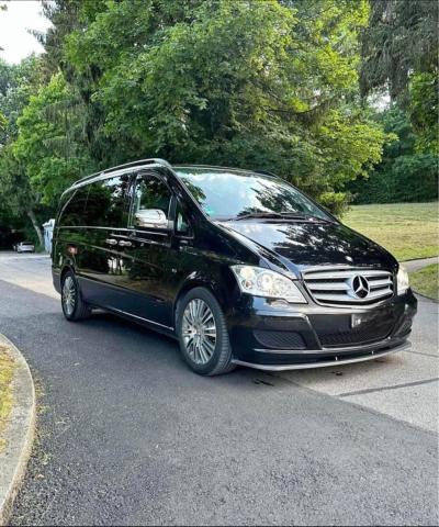 Mercedes Viano