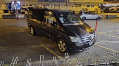 Mercedes Viano